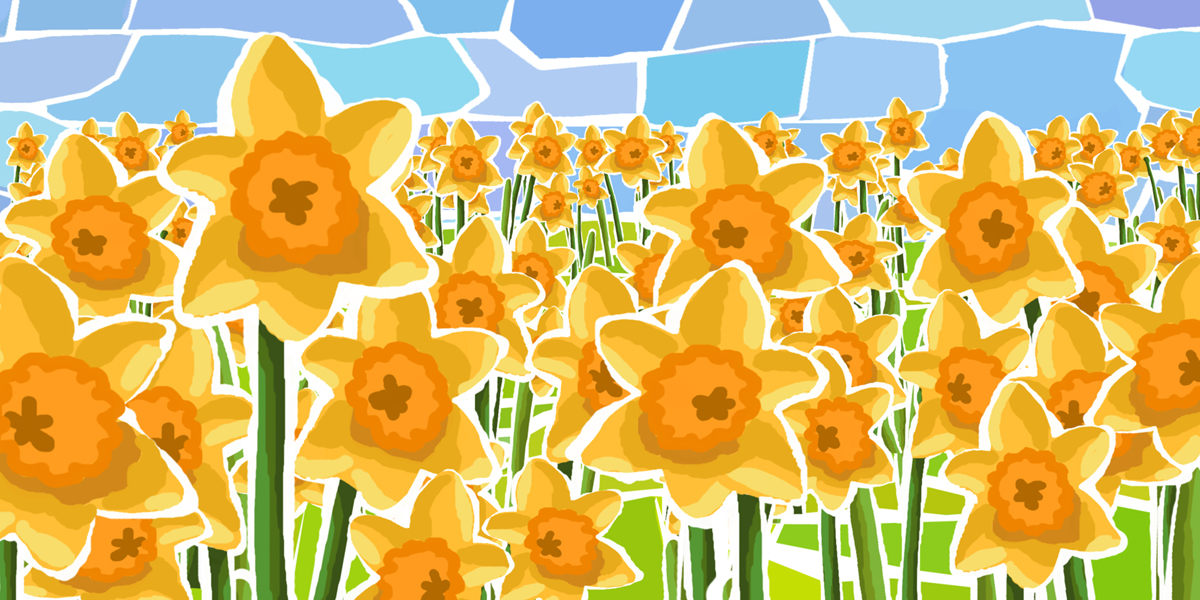 Daffodils Illustration